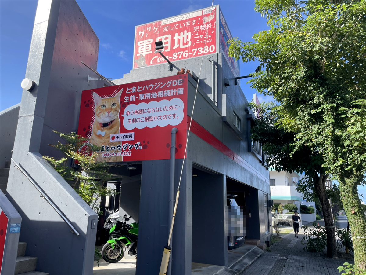 駐車場側から見た建物